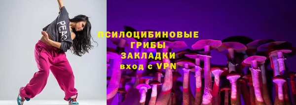 тгк Арсеньев