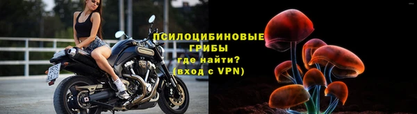 МДПВ Армянск