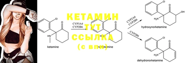 винт Аркадак