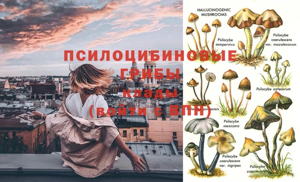 тгк Арсеньев