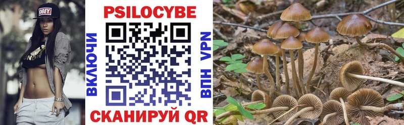 где можно купить наркотик Пенза Псилоцибиновые грибы Psilocybine cubensis